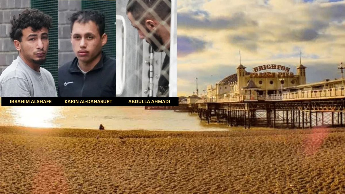 Adam Gwiazda tweet media