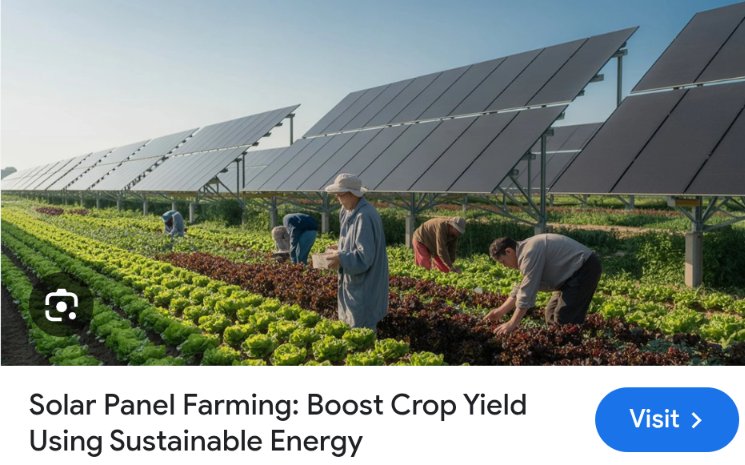 VoteGreen29 tweet media