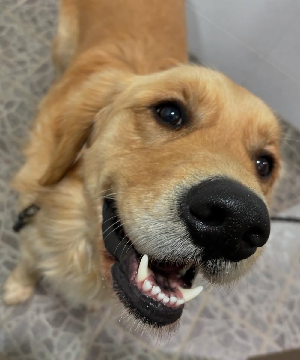 Tasha Rochefort. tweet media