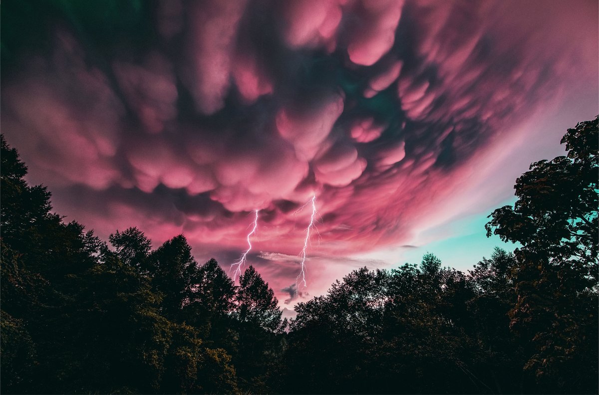 FUJIFILMSQUARE tweet media