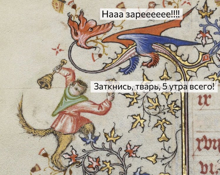 Чеслав tweet media