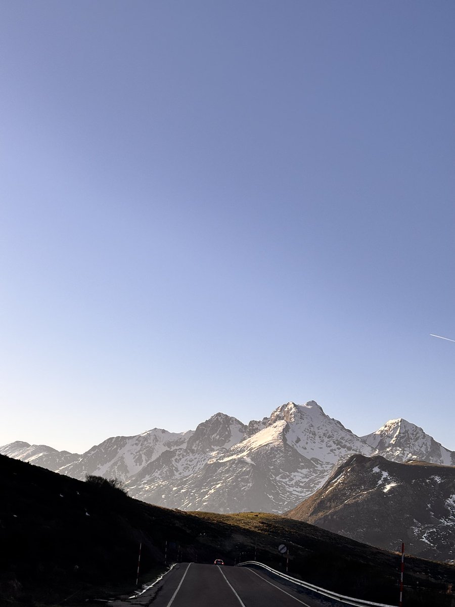 LordDyez tweet media