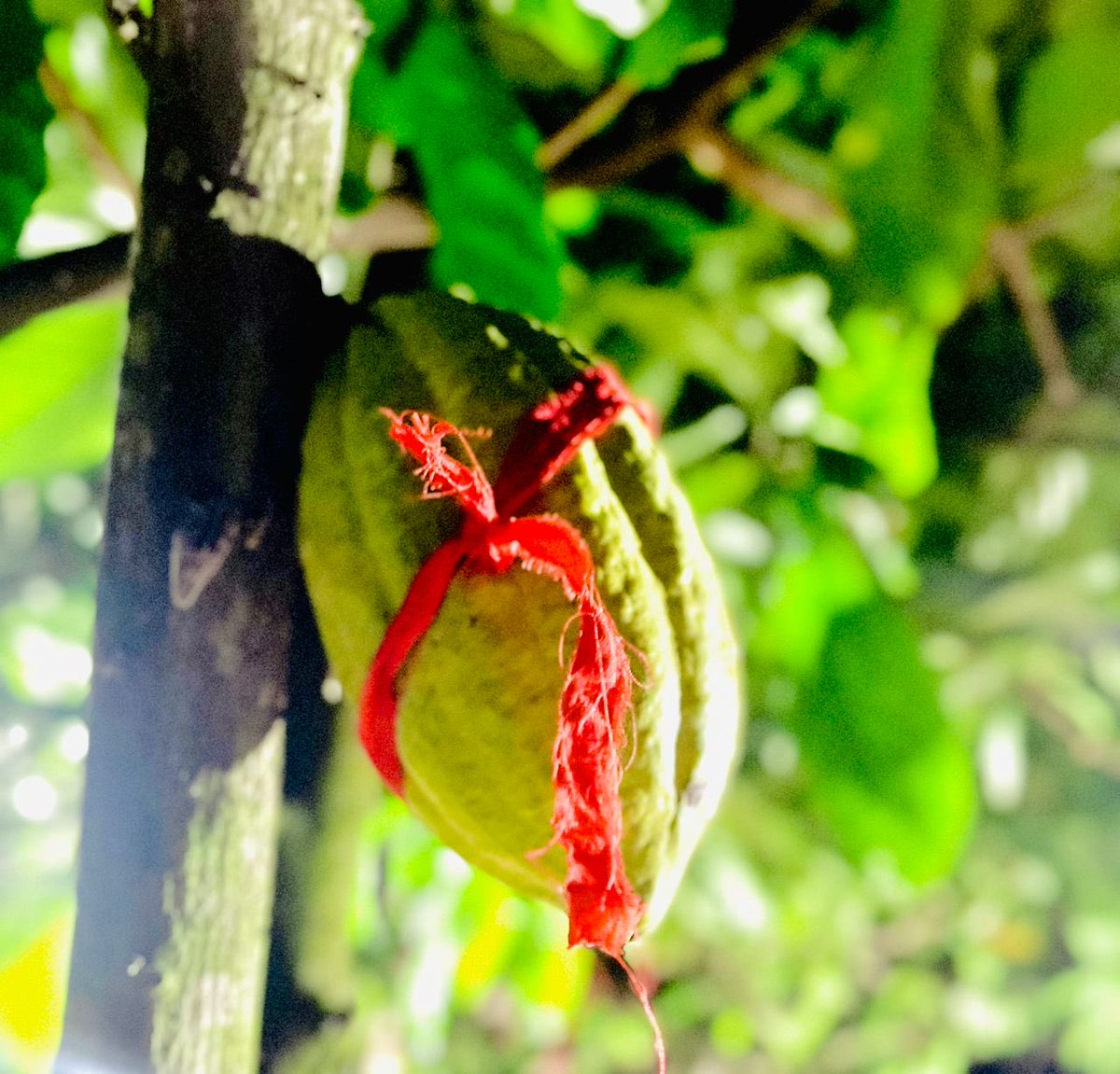 Hon. Frank Annoh-Dompreh tweet media