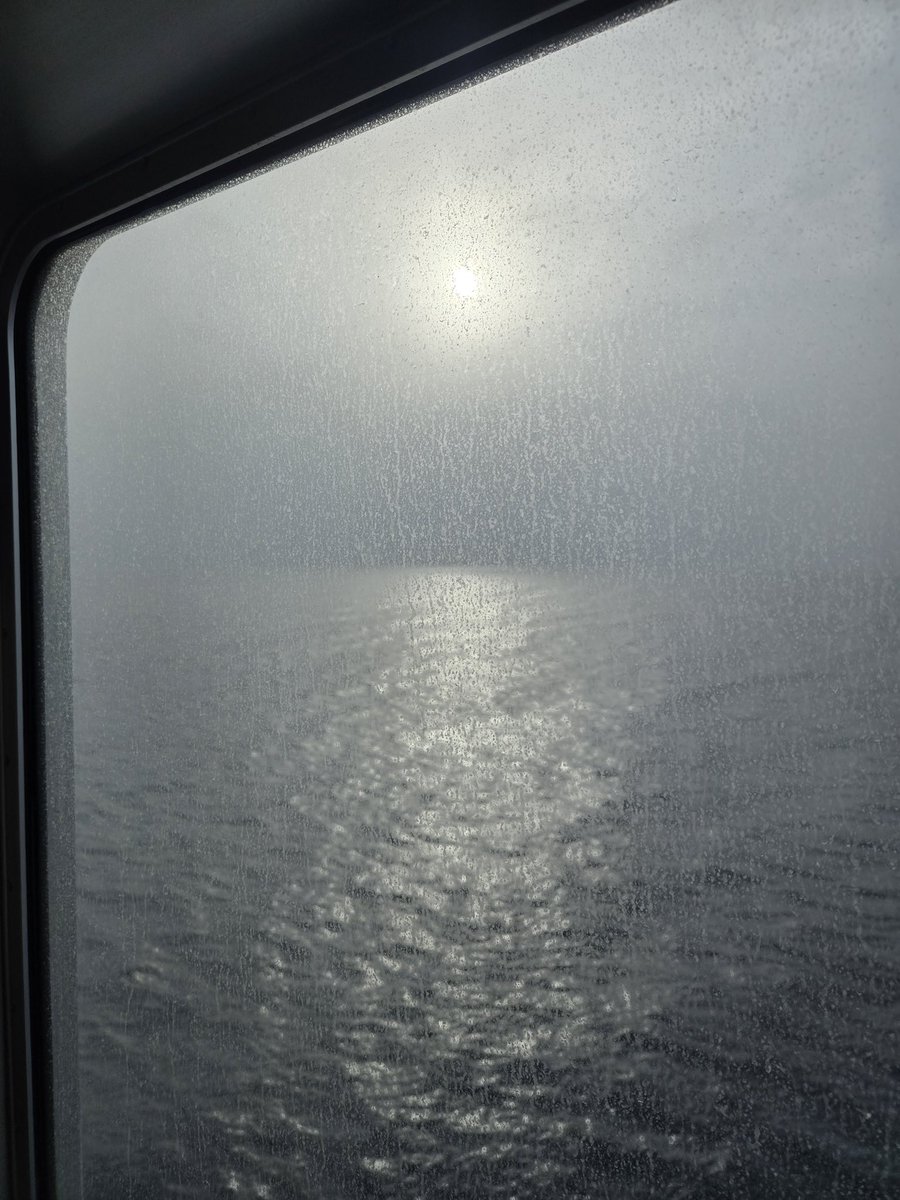 natalie b tweet media