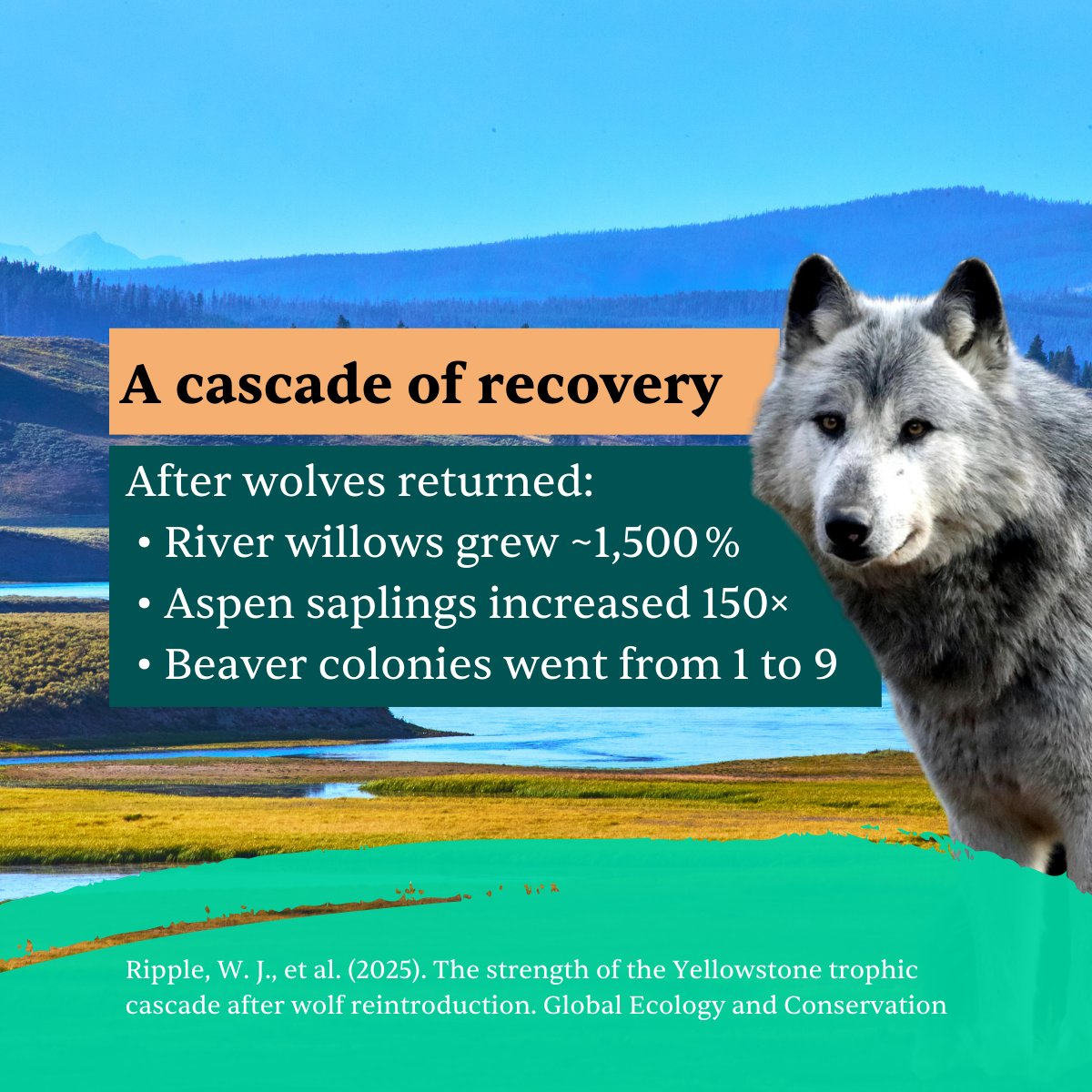 RESTOREID tweet media