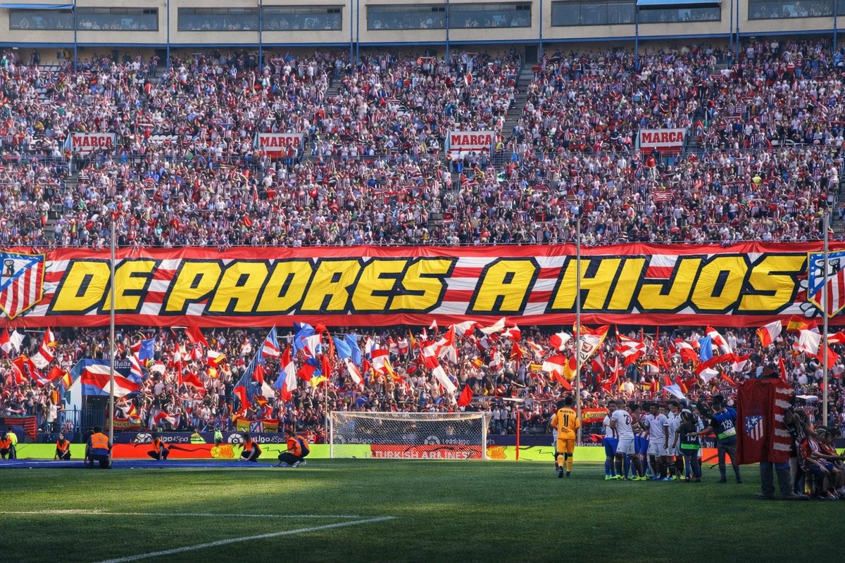 DefendiendoTusColores. tweet media