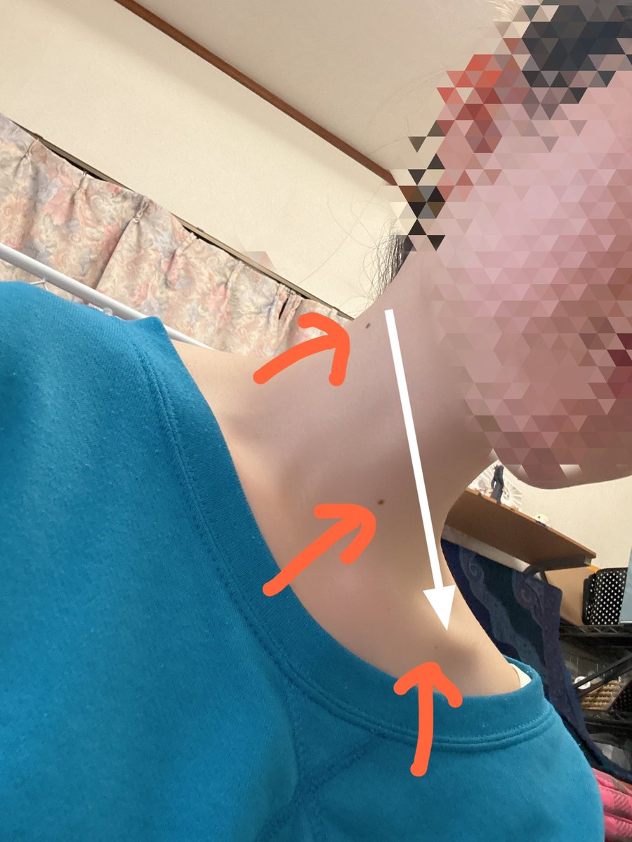青山ほこ tweet media