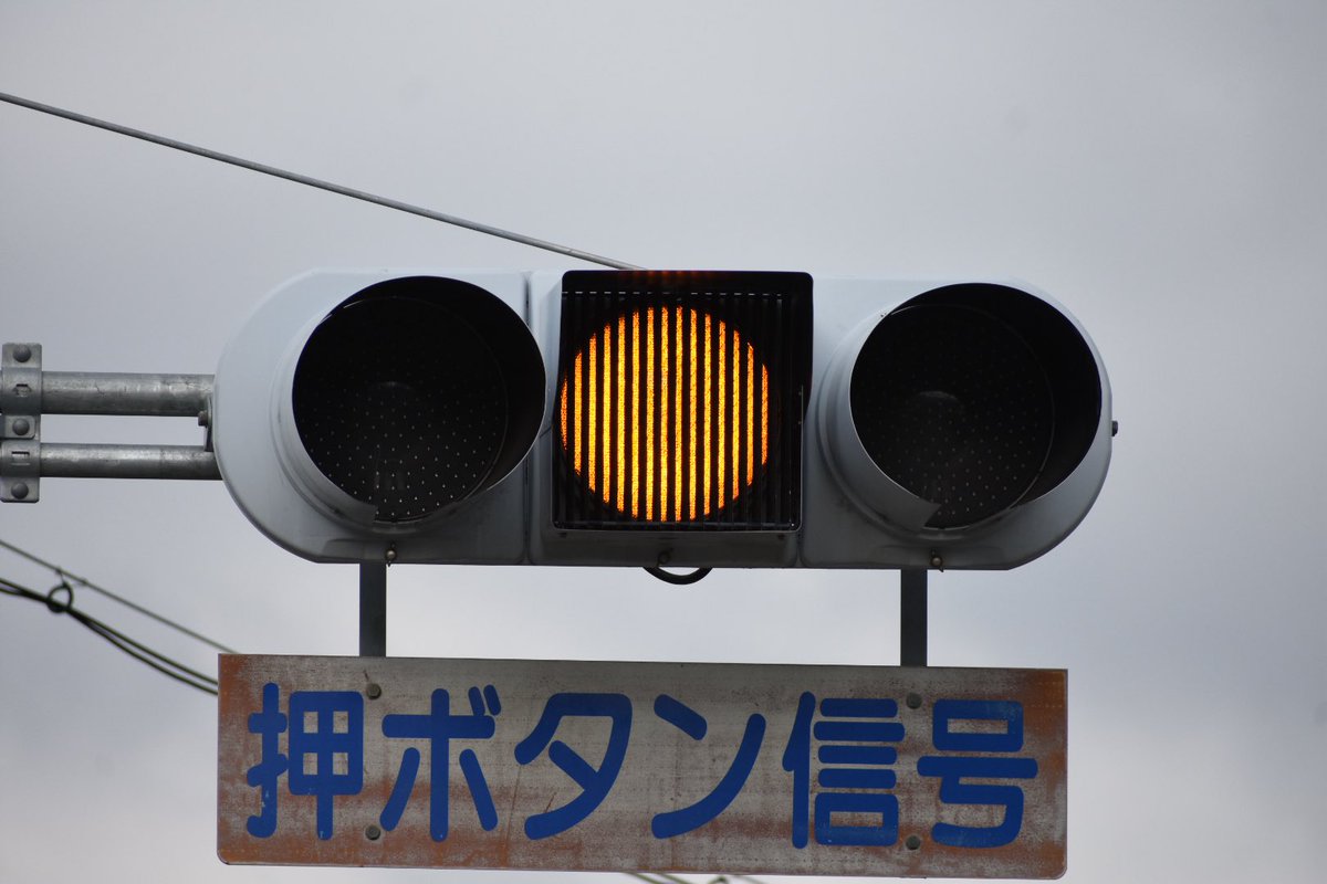 しんおた tweet media