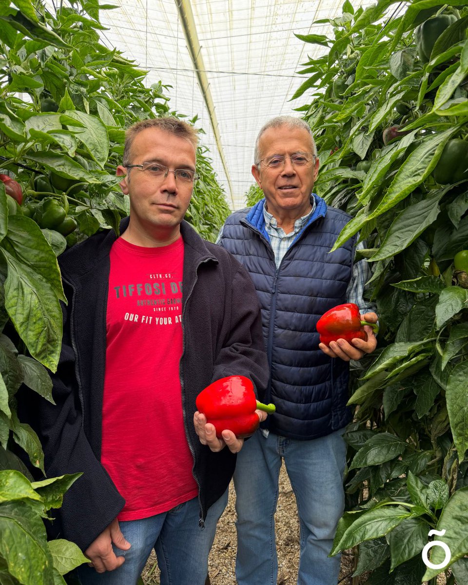 escobi_es's tweet photo. DÍA DEL PADRE

Desde Escobi reconocemos la labor de todos los agricultores que gracias a su gran esfuerzo sacan adelante a sus familias, y con el paso de los años, las nuevas generaciones toman el mando de los invernaderos.

¡Feliz Día del Padre!

#Escobi #DíadelPadre https://t.co/NsezOECWWR