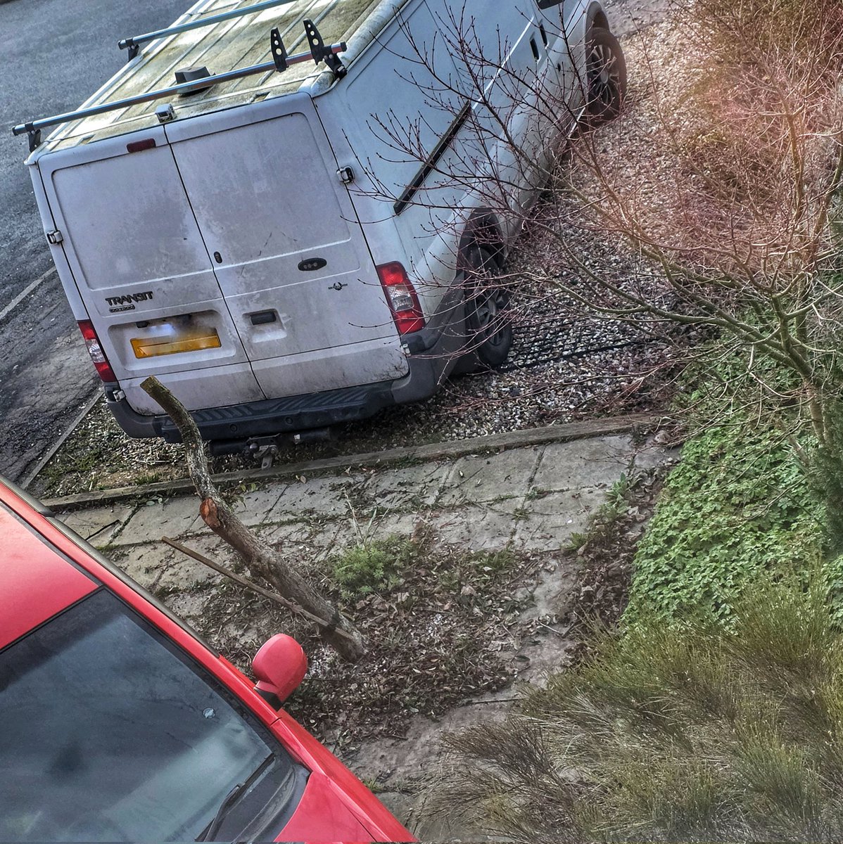 Mark 🐈‍⬛... tweet media