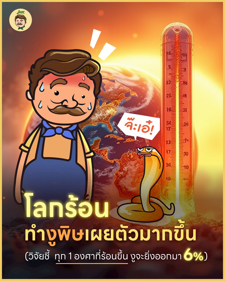 Jones Salad tweet media