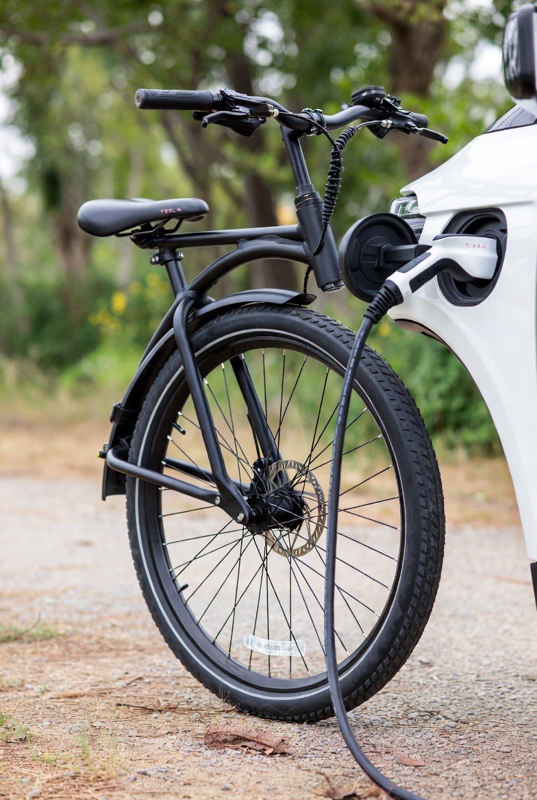 Math Wizards tweet media