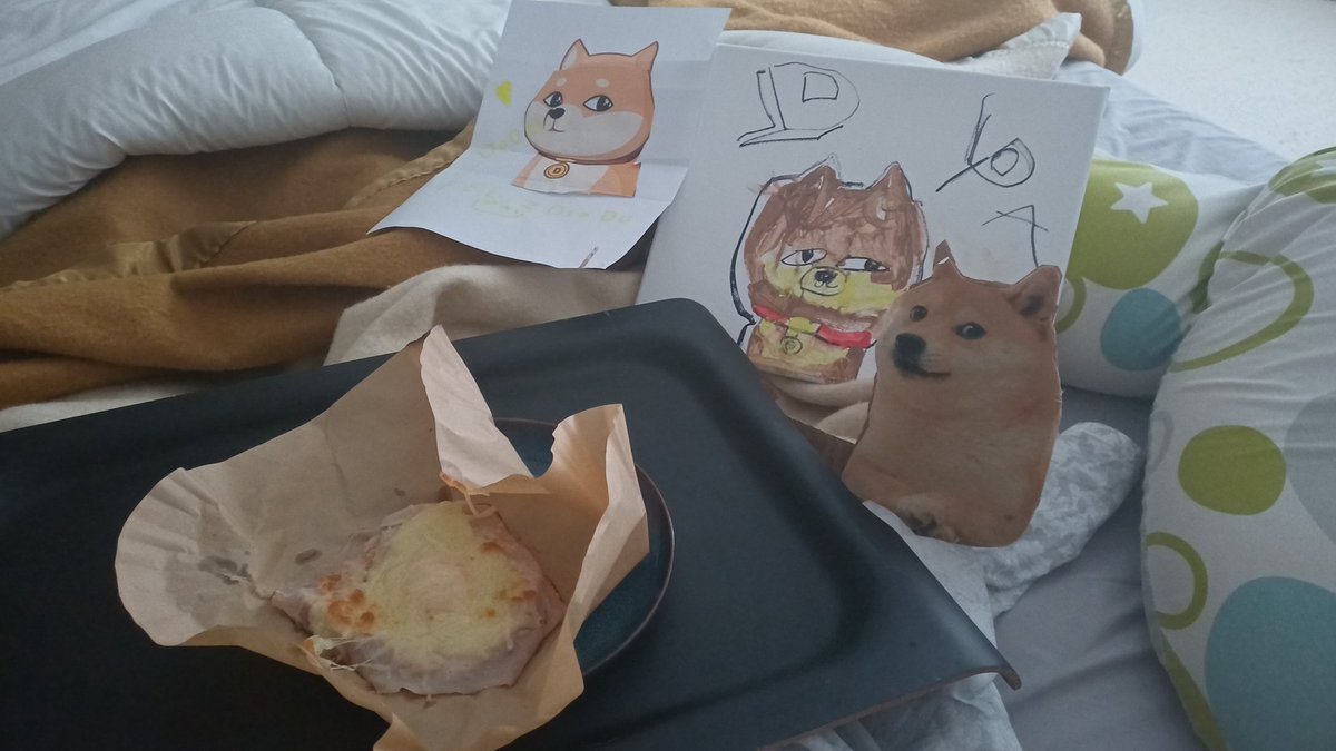 Paulo Vidal tweet media