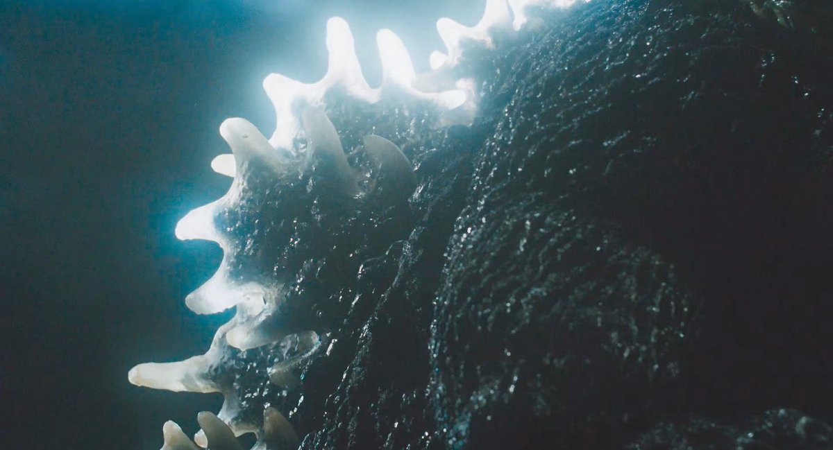 EvolvedGoji24 tweet media