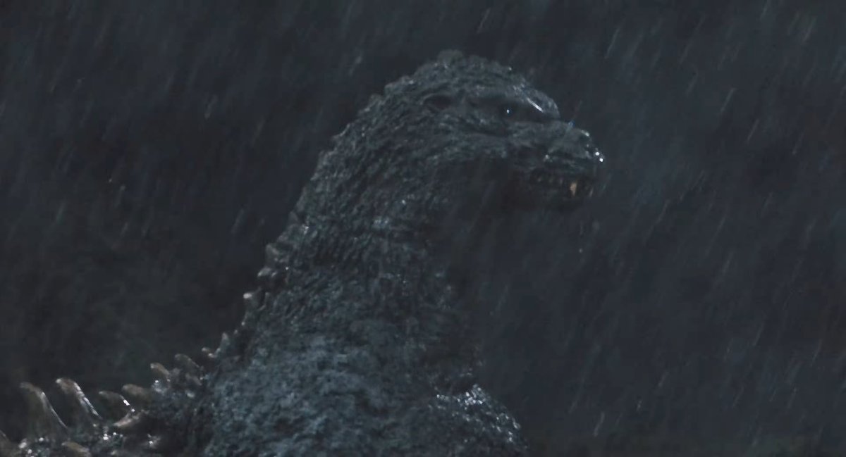 EvolvedGoji24 tweet media