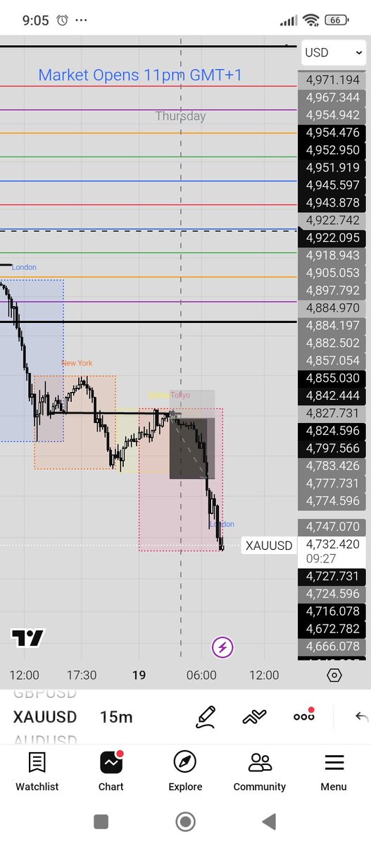 Manager Elvis tweet media