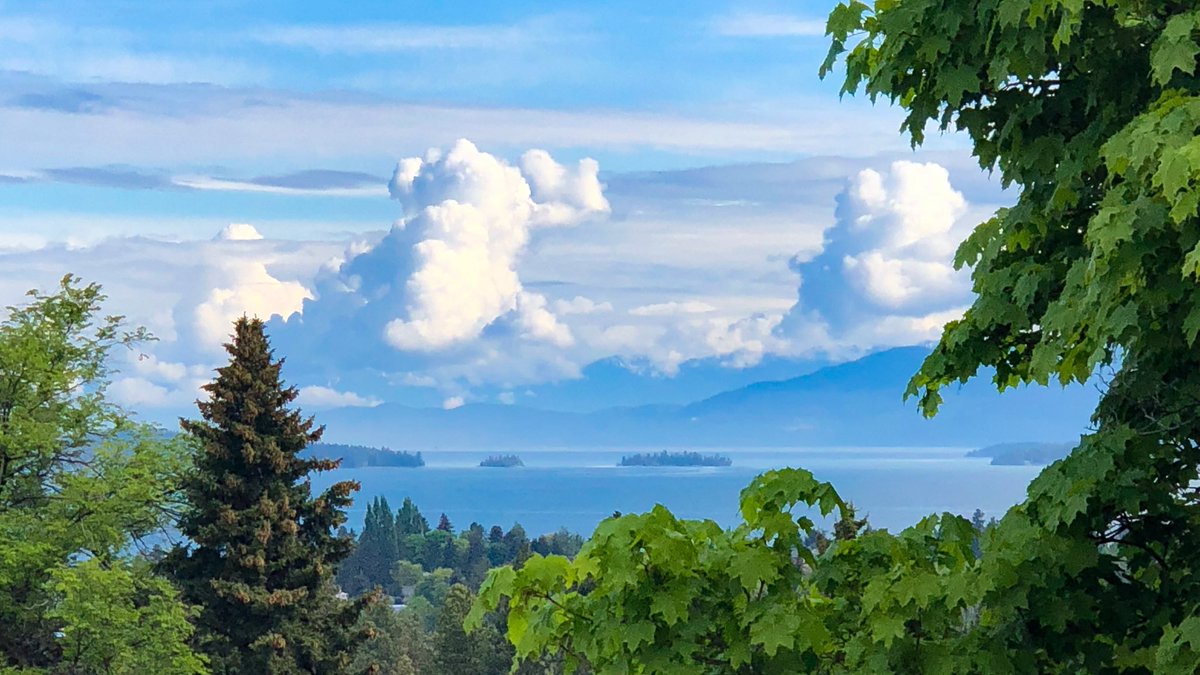 Steven Alexander tweet media