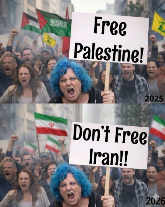 Liza Rosen tweet media