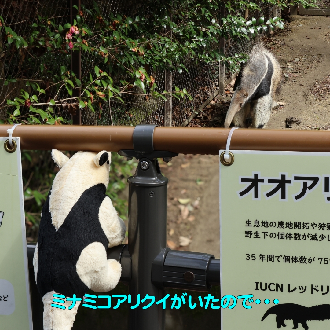 よしお tweet media