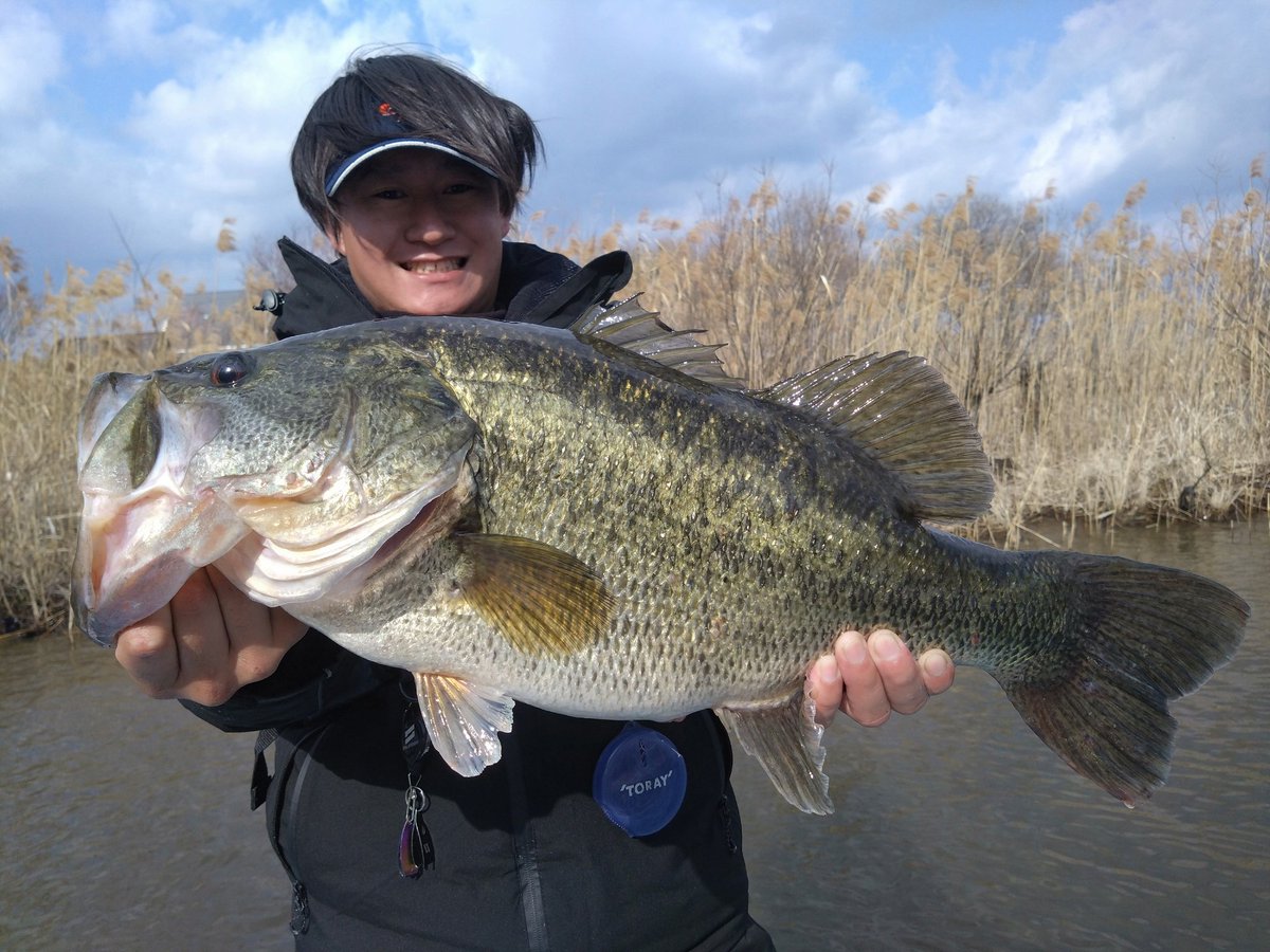 紅茶🐍 tweet media