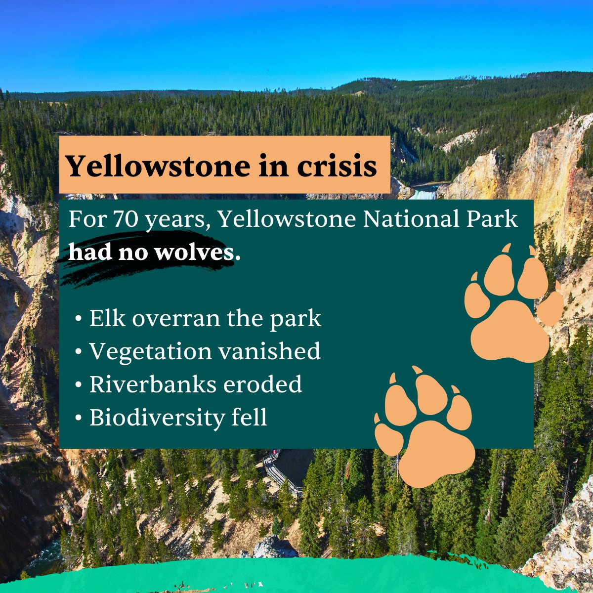 RESTOREID tweet media