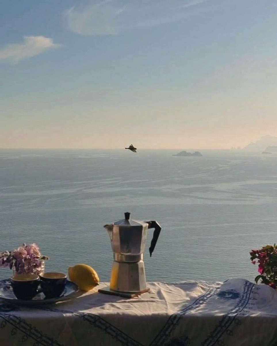 Magnifica Lounge 🫐 tweet media