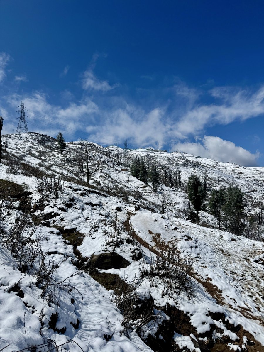 Yajas Sardana tweet media