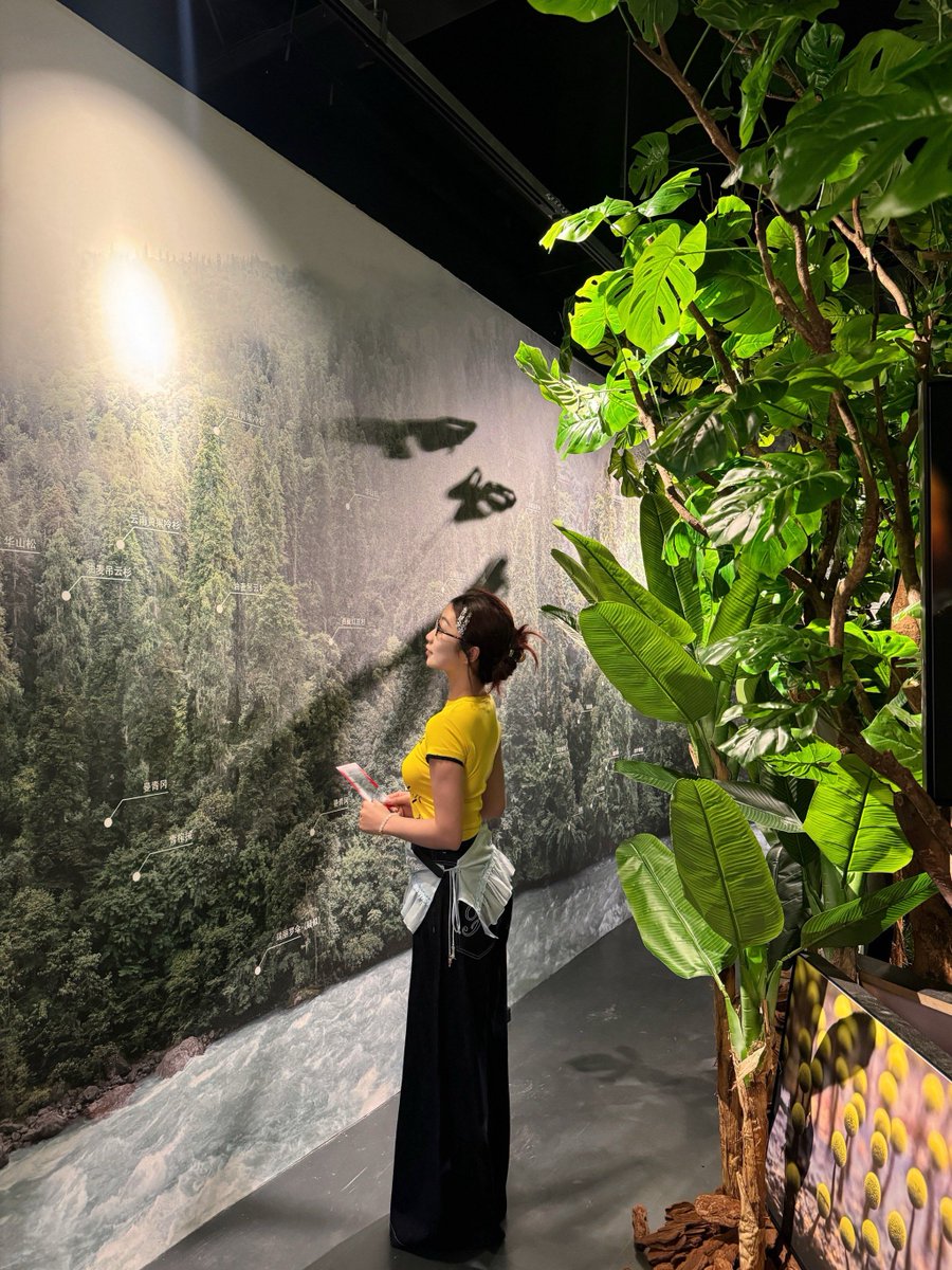 Alia Albuainain tweet media