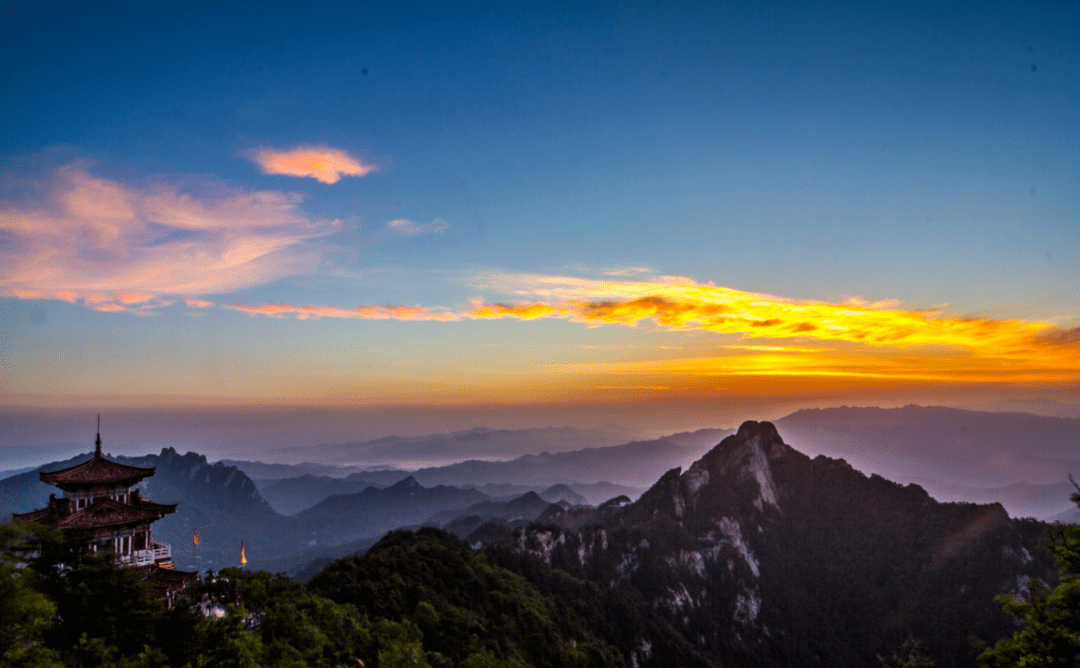 Noelene Geno tweet media