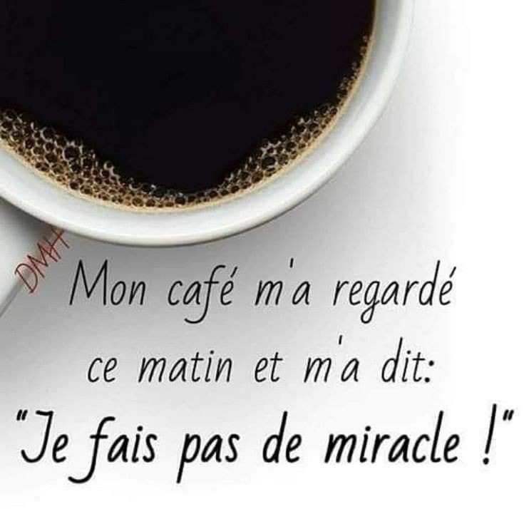 𝕱𝖗𝖆𝖓ç𝖔𝖎𝖘𝖊 tweet media