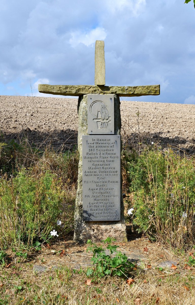 Polish Heritage Flight tweet media