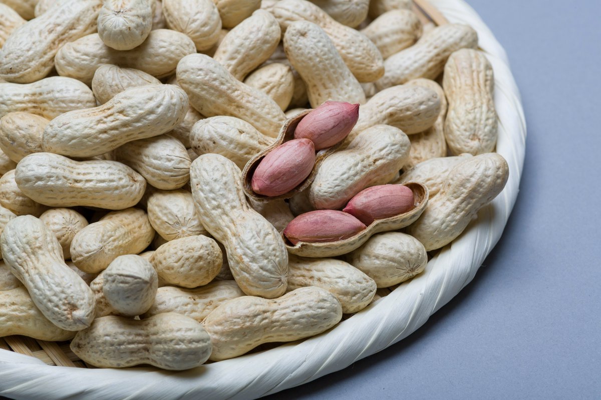 【落花生豆知識】～品種紹介～
現在、千葉県では主に5品種が栽培されています！
🥜Qなっつ（品種名：千葉P114号）🥜
平成30年にデビューした、比較的新しい品種です。
食べた瞬間、際立つ甘みがありながら、後味はあっさり！
煎豆に適しています☺