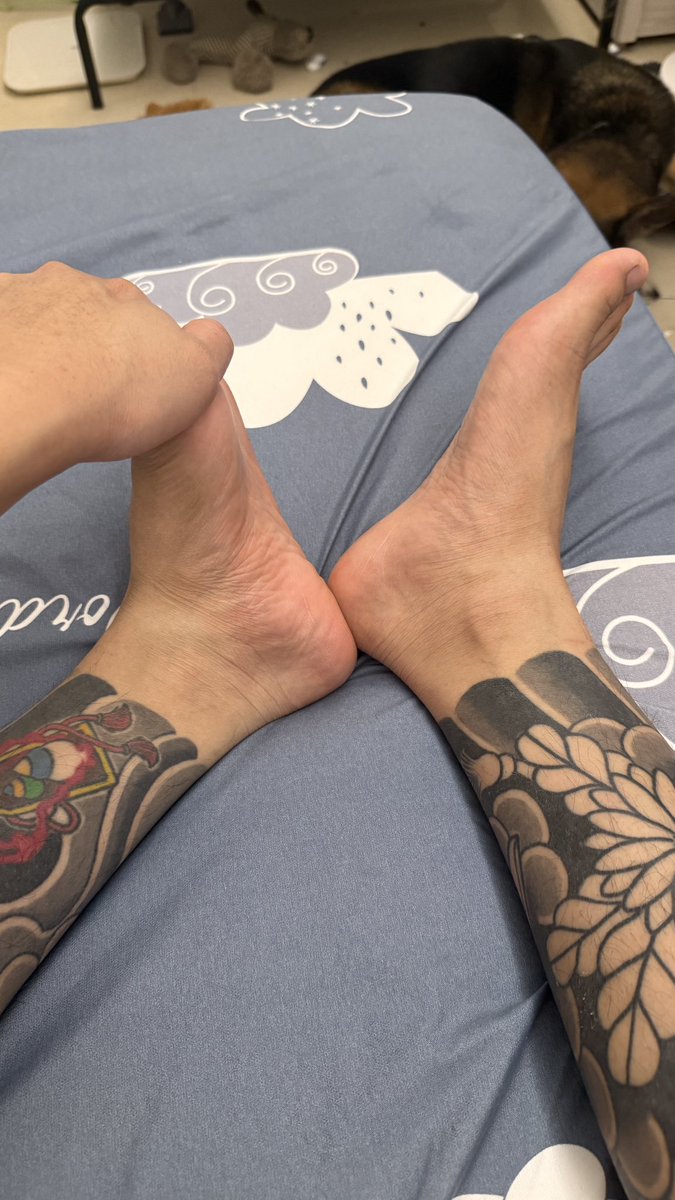 🐑🐑🐑 tweet media