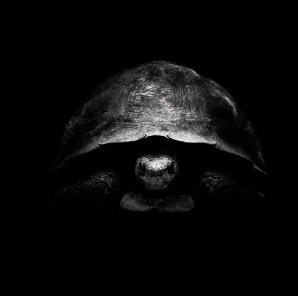 liqute0401's tweet photo. $ASTS Patience. Resilience. Vigilance. https://t.co/E4RDrwMkIx