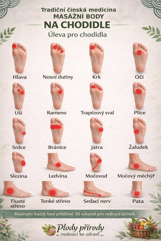 Štefan Kamenický tweet media