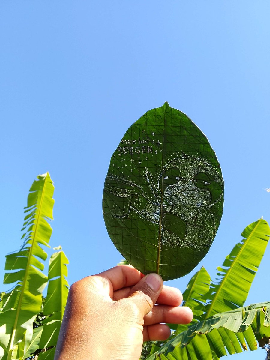 tinydonut tweet media