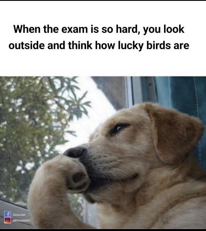 C-Q🥹💞 𝛬 tweet media