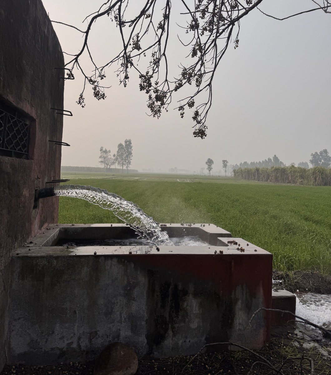 HarshVivek Singh tweet media