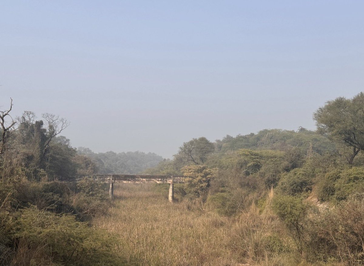 HarshVivek Singh tweet media