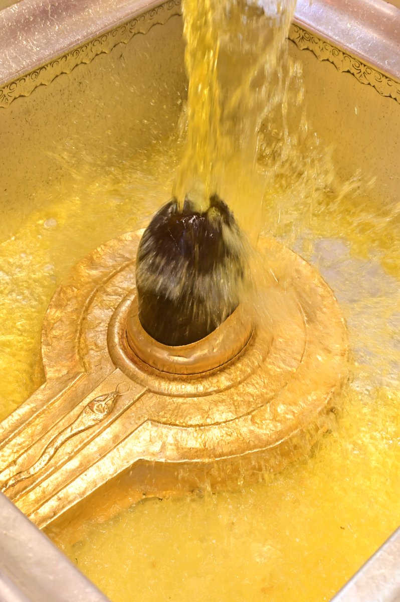 Shri Kashi Vishwanath Temple Trust tweet media