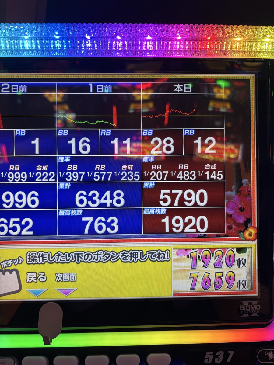 沈黙のハイビスカス tweet media