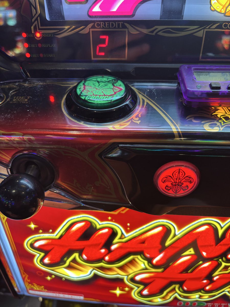 沈黙のハイビスカス tweet media