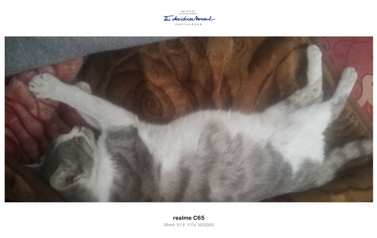 mahmoud hald 🇵🇸🚨‼️🆘 tweet media