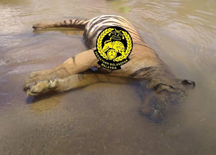 Slave of UK 🇬🇧 tweet media