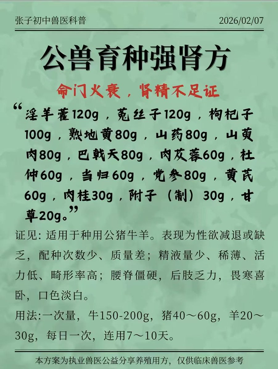 飞鱼喵酱 tweet media