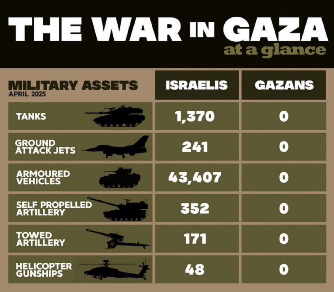 Michele Scheffler tweet media