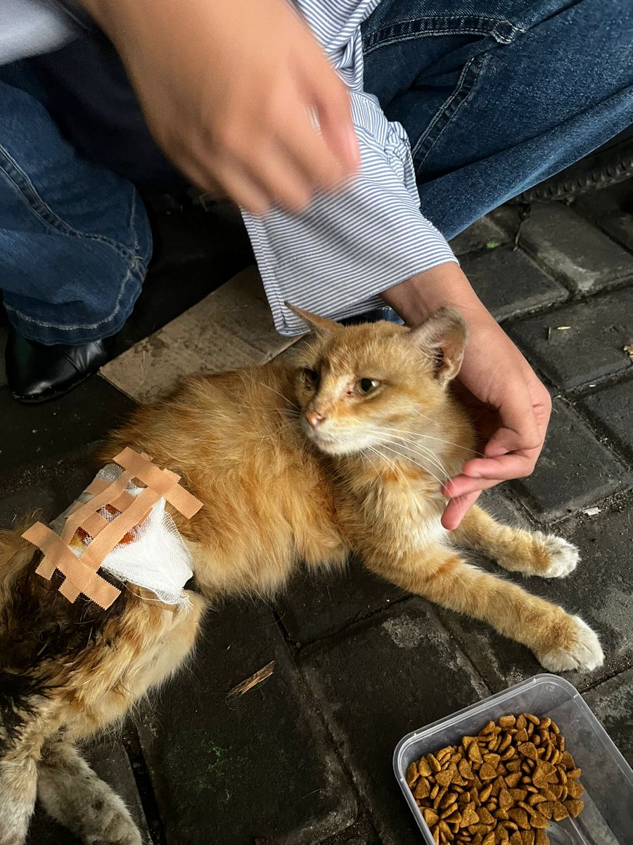 Naya ❀ ホムラ tweet media