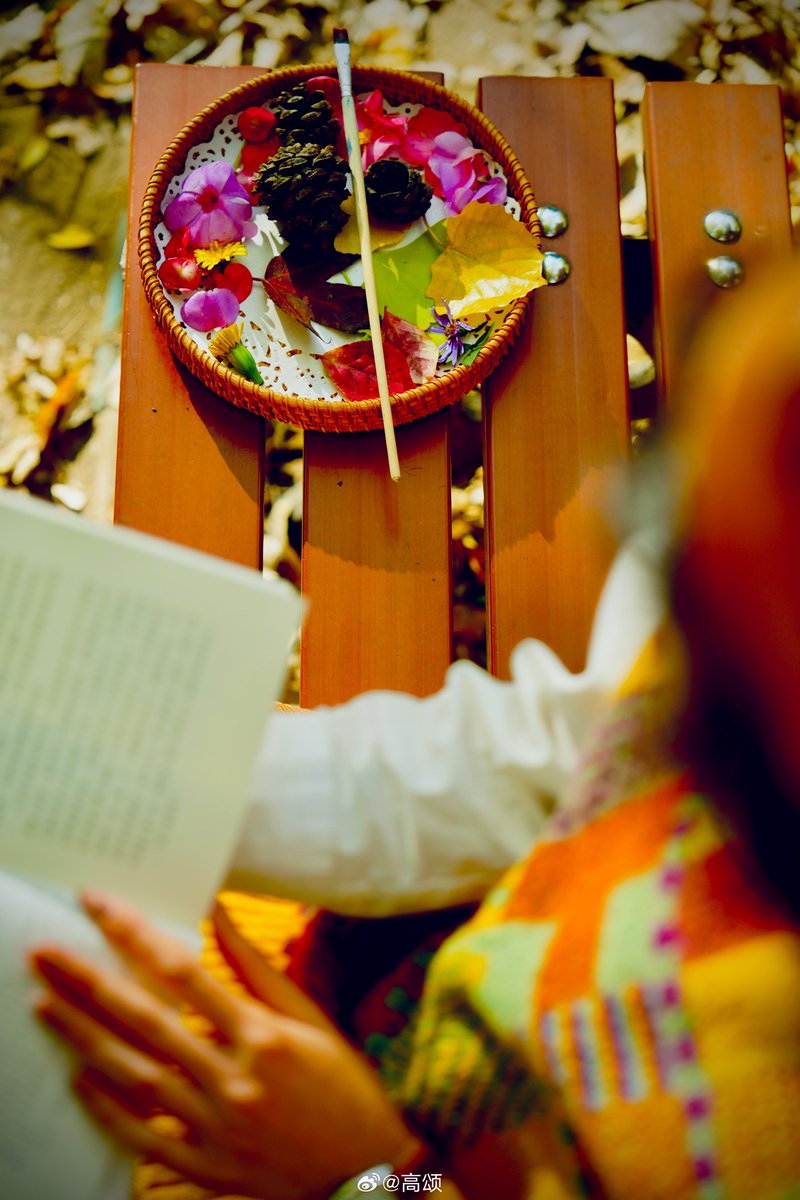 William Wang tweet media