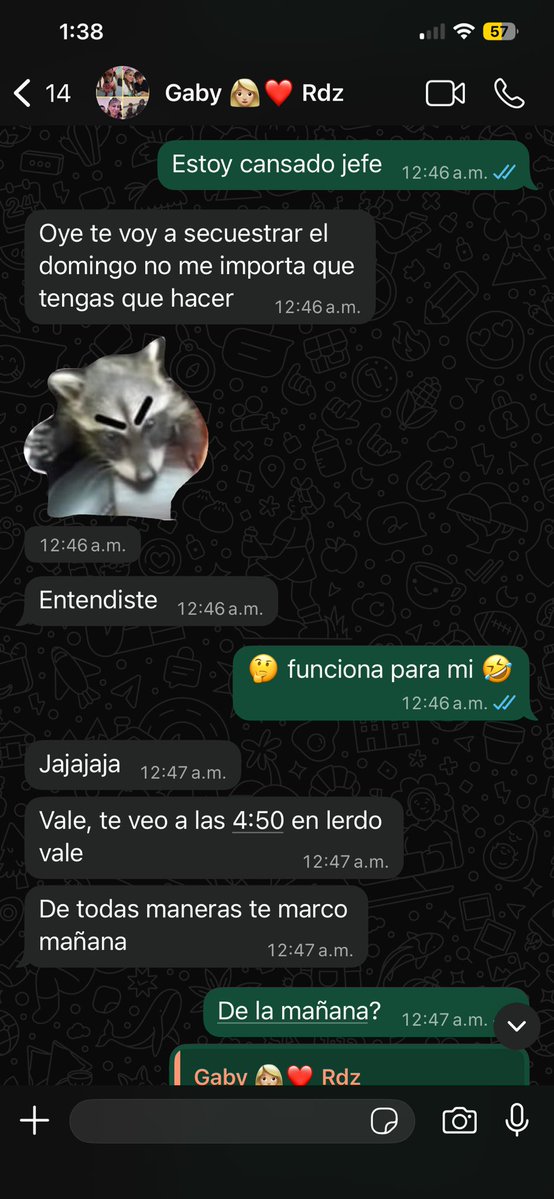 •✨ᑕIᑎTᕼ ᖇOᗪGOᑎᘔ🐷✨• tweet media