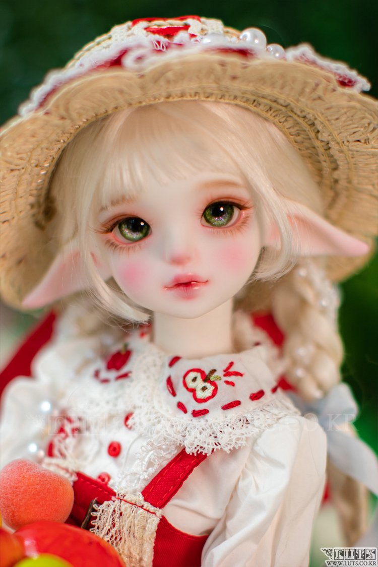 루츠돌 tweet media